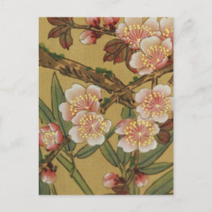 Vintage Cherry Blossoms Asian Japanese Flowers Postcard