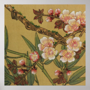 Vintage Cherry Blossoms Asian Japanese Flowers Poster