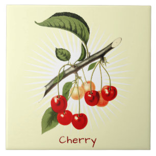 Vintage Cherry Fruit Botanical Art Ceramic Tile