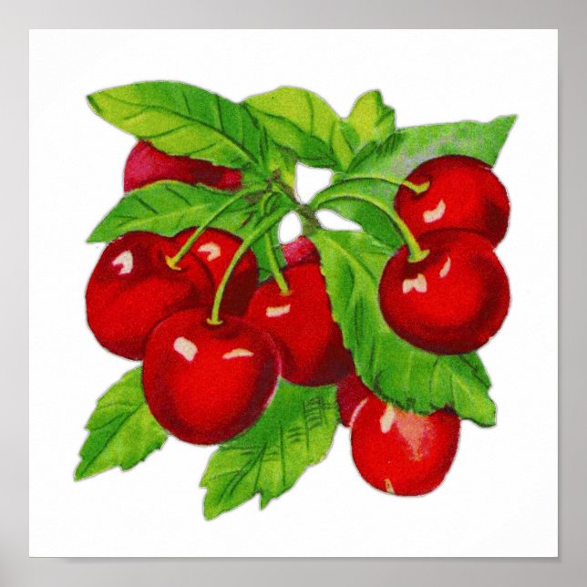 Vintage Cherry Kitchen Wall Decor (Front)