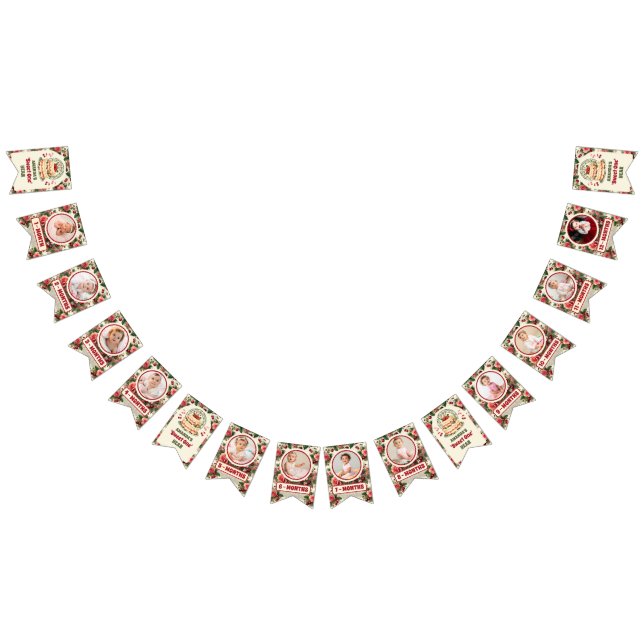 Vintage Cherry 'Sweet One' 1st Birthday Photo Bunting (All)