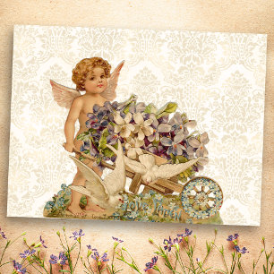 Vintage Cherub Valentine Postcard