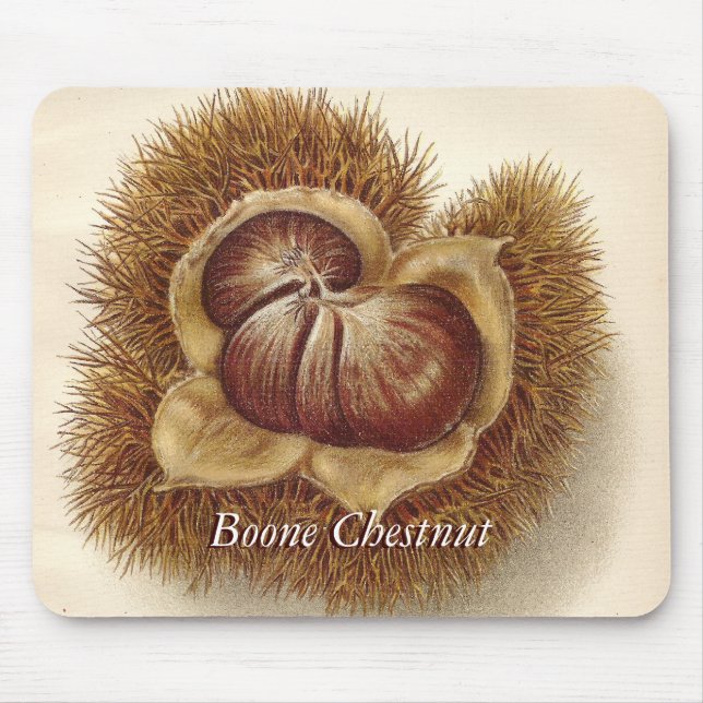 Vintage Chestnut Mousepad (Front)