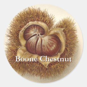 Vintage Chestnut Stickers