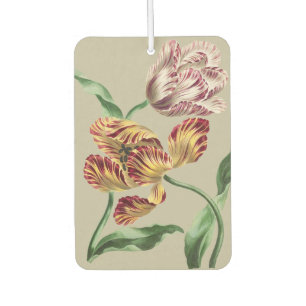 Vintage Chic 18th Century Botanical Tulip Art Car Air Freshener