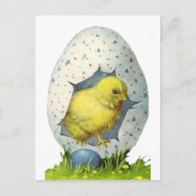 Vintage Chick And Easter Egg Holiday Postcard (Front)