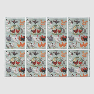 Vintage Chicken Breeds Pattern  Tissue Paper