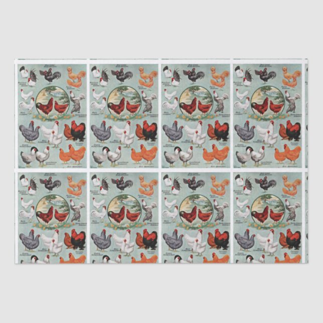 Vintage Chicken Breeds Pattern  Tissue Paper (Front)