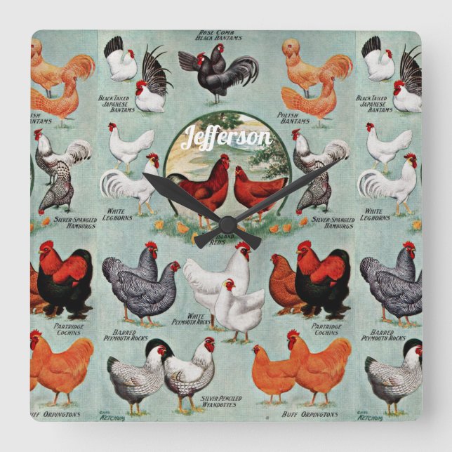 Vintage Chicken Breeds Square Wall Clock (Front)
