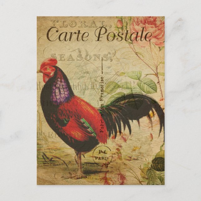 Vintage Chicken Hen Rooster illustration French Postcard (Front)