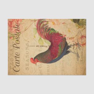 Vintage Chicken Hen Rooster illustration French Tissue Paper