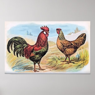 Vintage Chicken Print Rooster and Hen