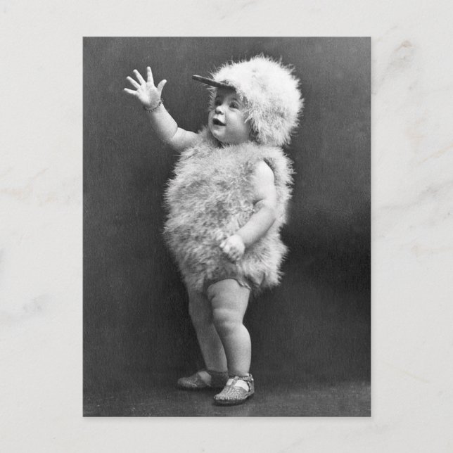 Vintage Chicken Suit Girl Easter Costume Holiday Postcard (Front)