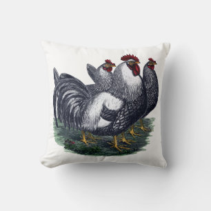 Vintage Chicken Trio Cushion