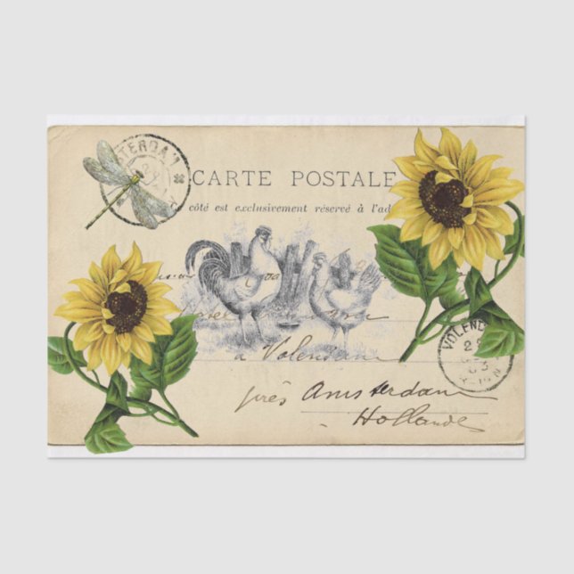 Vintage Chickens Sunflower Postcard Tissue Paper (Front)