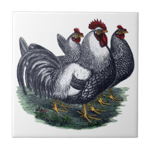 Vintage Chickens Tile