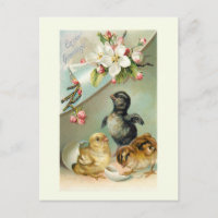 Vintage Chicks, Easter Eggs and Wild Roses
