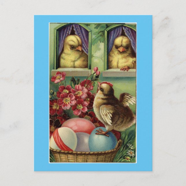 Vintage Chicks Easter Postcard (Front)
