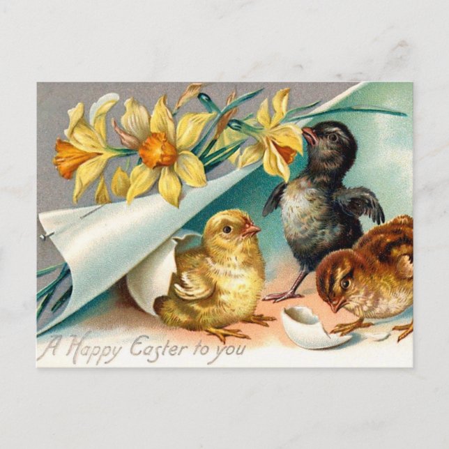 Vintage Chicks with Yellow Flowers Easter Greeting Postcard (Front)