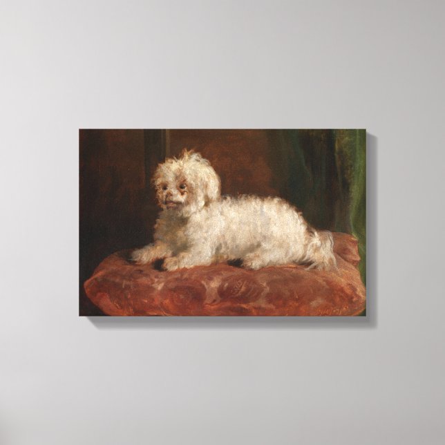 Vintage Chico Thomas Musgrave Joy Canvas Print (Front)