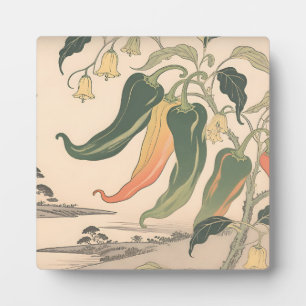 Vintage Chilli Pepper Illustration Plaque