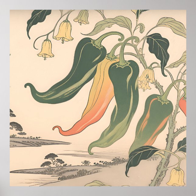Vintage Chilli Pepper Illustration Poster (Front)