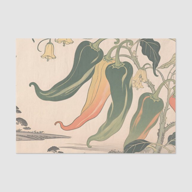Vintage Chilli Pepper Illustration Tissue Paper (Front)