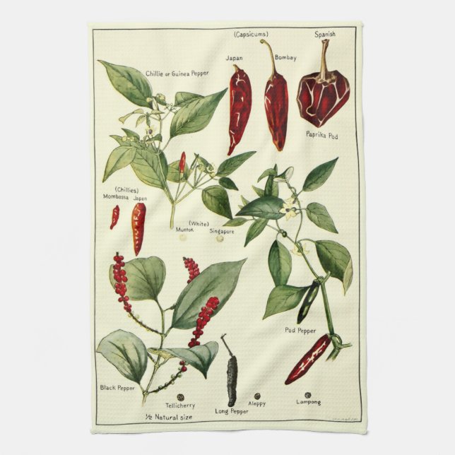 Vintage Chilli Peppers Botanical Illustrations Tea Towel (Vertical)