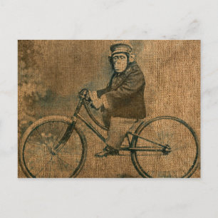 Vintage Chimp Riding a Bicycle Postcard