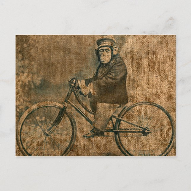 Vintage Chimp Riding a Bicycle Postcard (Front)