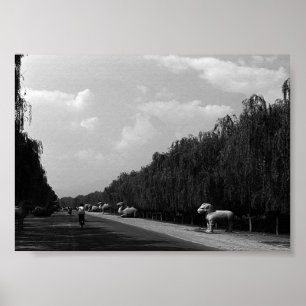 Vintage China Pekin beautiful pathway ming tombs Poster