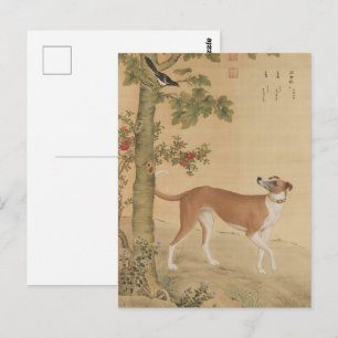 Vintage Chinese Greyhound Dog & Bird Art Postcard