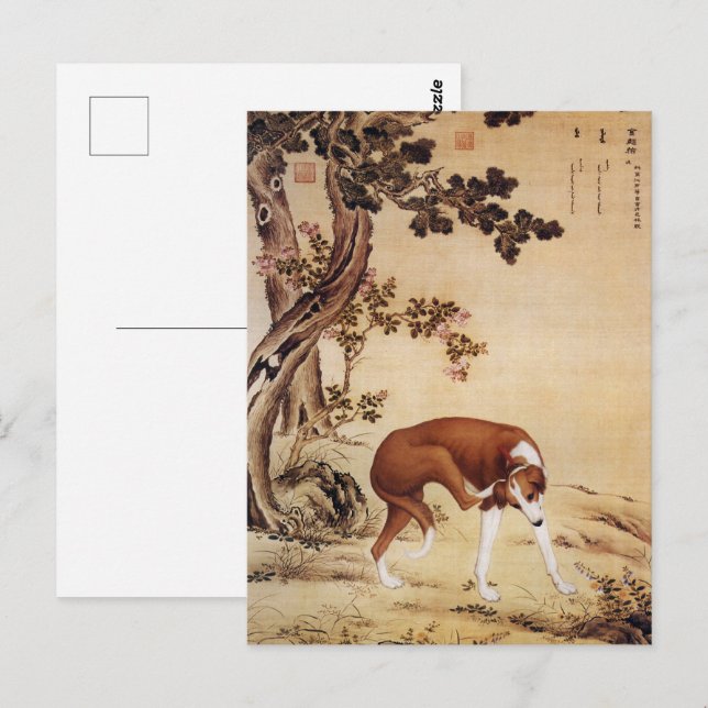 Vintage Chinese Greyhound Under Pine Tree Art Postcard (Front/Back)