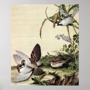 Vintage Chinoiserie Sparrows and Purple Flowers Poster