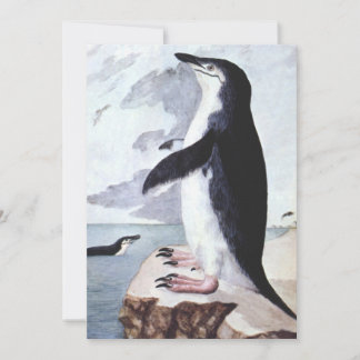 Vintage Chinstrap Penguin, Birds from Antarctica