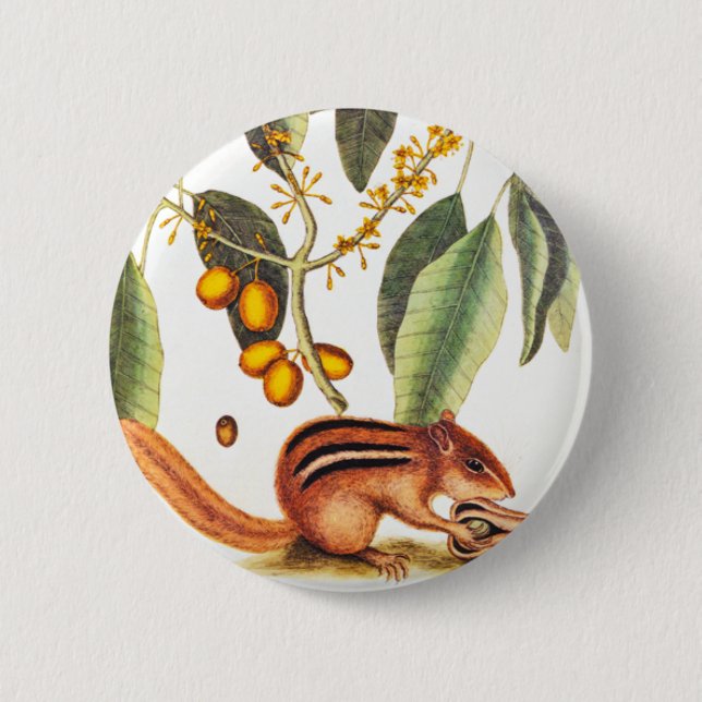 Vintage Chipmunk Illustration 6 Cm Round Badge (Front)