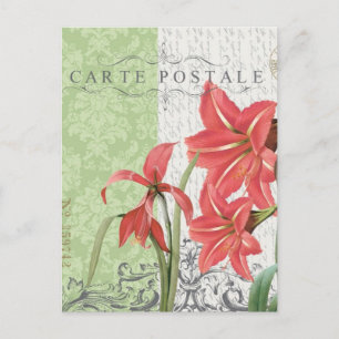Vintage Christmas-Amaryllis postcard