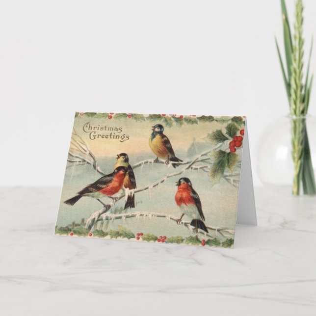 Vintage Christmas Birds Holiday Card (Front)
