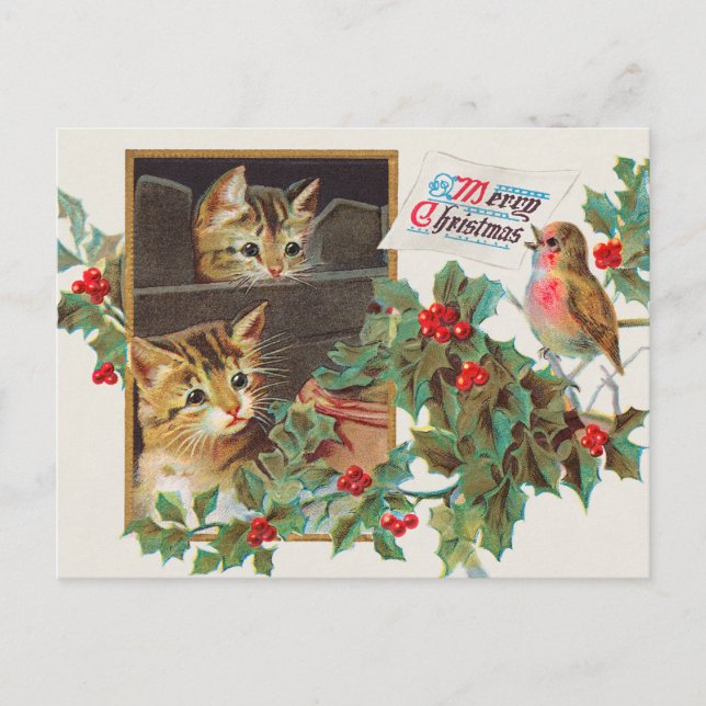 Vintage Christmas Cat And Holly Berry Postcard (Front)