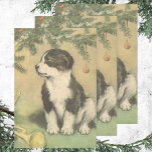 Vintage Christmas, Cute Puppy Under Christmas Tree Wrapping Paper Sheet<br><div class="desc">Vintage illustration Merry Christmas holiday design featuring an adorable border collie puppy dog sitting under the Christmas tree. This cute fur baby is next to some musical instruments, a bugle or trumpet and some drums just waiting for the family on Christmas morning! This cutie will make some children very happy!...</div>