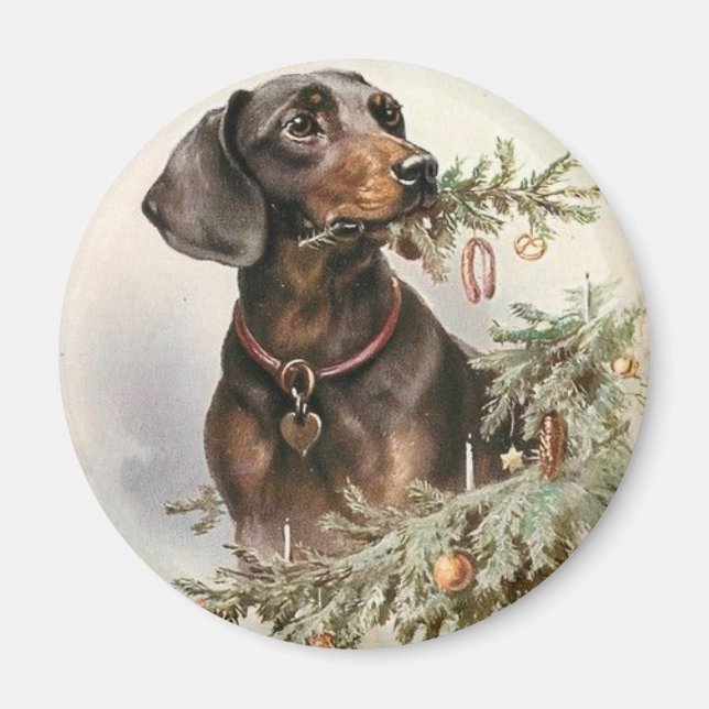 Vintage Christmas Dachshund Dog Magnet (Front)