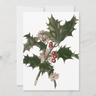 Vintage Christmas, Green Holly Plant with Berries Invitation
