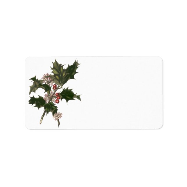 Vintage Christmas, Green Holly Plant with Berries Label (Front)