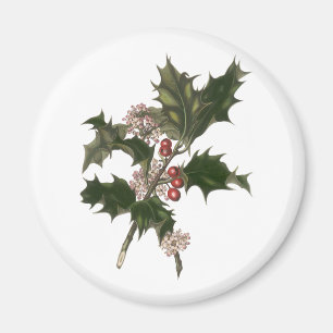 Vintage Christmas, Green Holly Plant with Berries Magnet