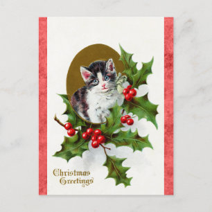 Vintage Christmas Greetings Cute Kitten Cat Postcard