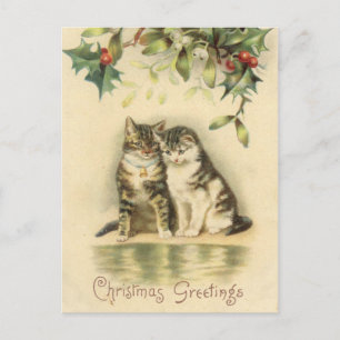 Vintage Christmas Greetings Kitty Cats Holiday Postcard