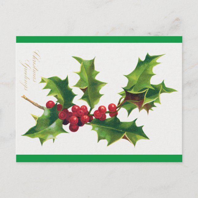 Vintage Christmas Greetings Postcard (1906)  (Front)