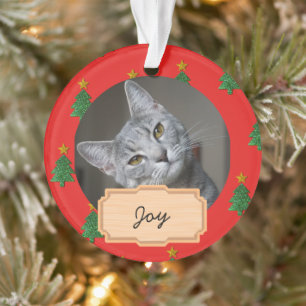 vintage christmas holiday Custom cat Photo Ornament