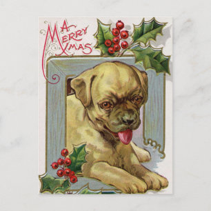 Vintage Christmas Holiday Holly dog postcard