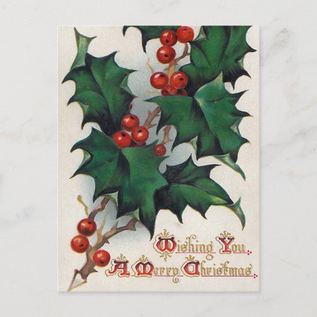 Vintage Christmas holly berry postcard (Front)